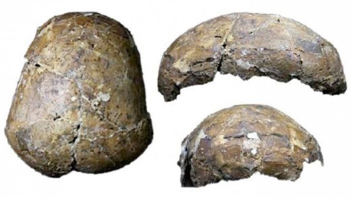 craniu preistoric